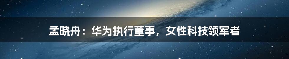 孟晓舟:华为执行董事,女性科技领军者