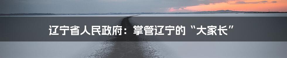 辽宁省人民政府:掌管辽宁的“大家长”
