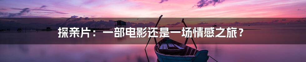 探亲片:一部电影还是一场情感之旅?
