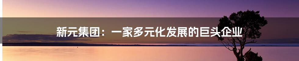 新元集团：一家多元化发展的巨头企业
