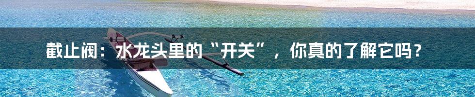 截止阀:水龙头里的“开关”,你真的了解它吗?
