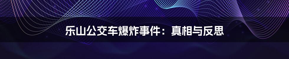 乐山公交车爆炸事件:真相与反思