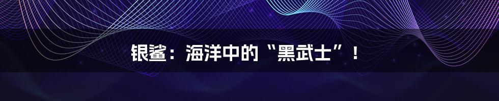 银鲨：海洋中的“黑武士”！