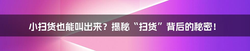 小扫货也能叫出来?揭秘“扫货”背后的秘密!