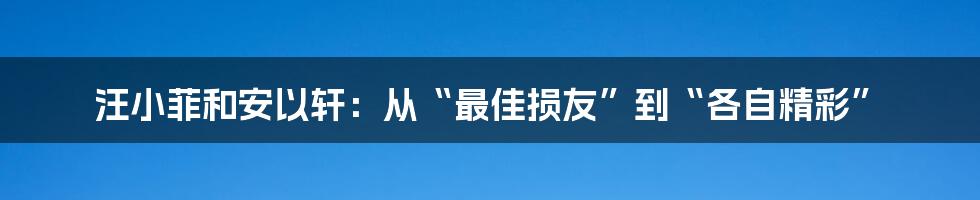汪小菲和安以轩:从“最佳损友”到“各自精彩”