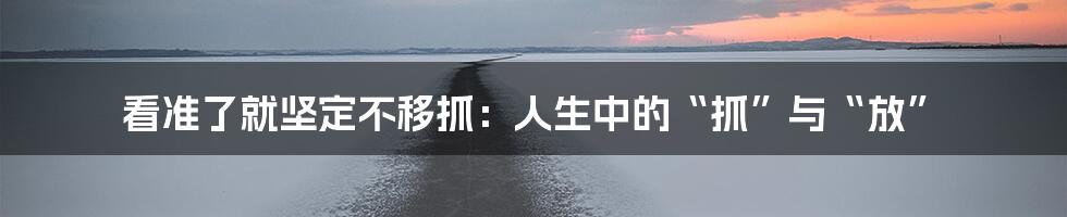看准了就坚定不移抓:人生中的“抓”与“放”