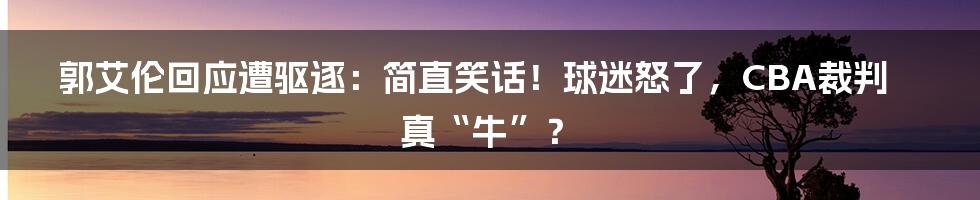 郭艾伦回应遭驱逐:简直笑话!球迷怒了,CBA裁判真“牛”?
