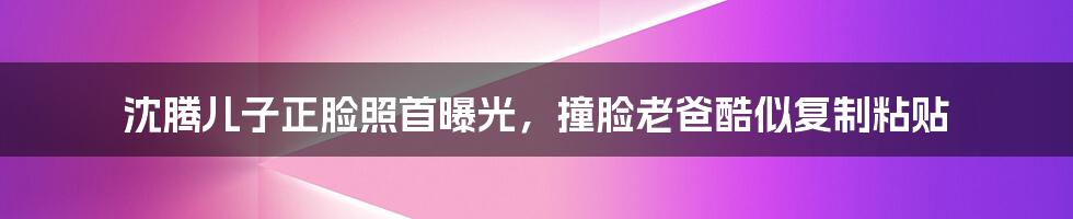 沈腾儿子正脸照首曝光,撞脸老爸酷似复制粘贴