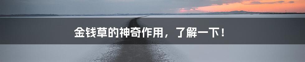 金钱草的神奇作用,了解一下!
