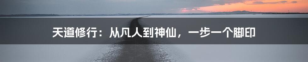 天道修行:从凡人到神仙,一步一个脚印