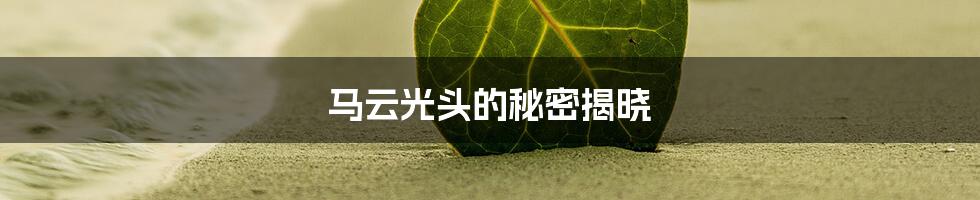 马云光头的秘密揭晓