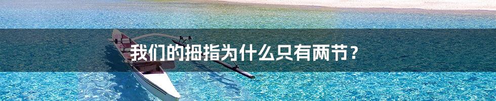 我们的拇指为什么只有两节?