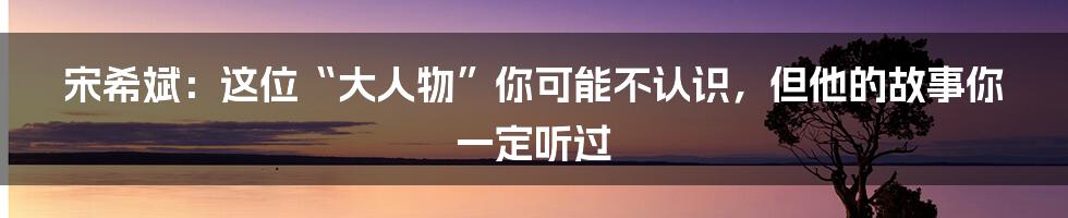 宋希斌:这位“大人物”你可能不认识,但他的故事你一定听过
