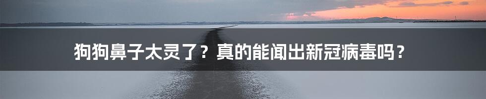 狗狗鼻子太灵了?真的能闻出新冠病毒吗?