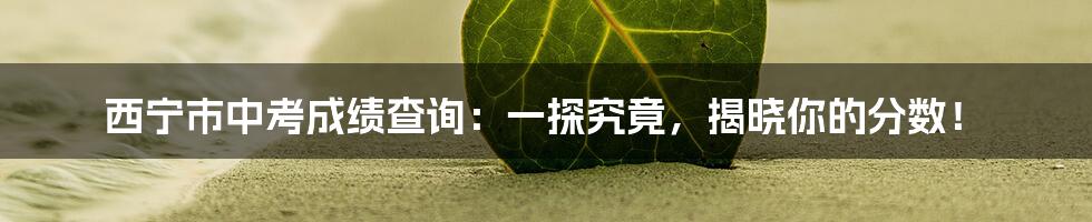 西宁市中考成绩查询:一探究竟,揭晓你的分数!