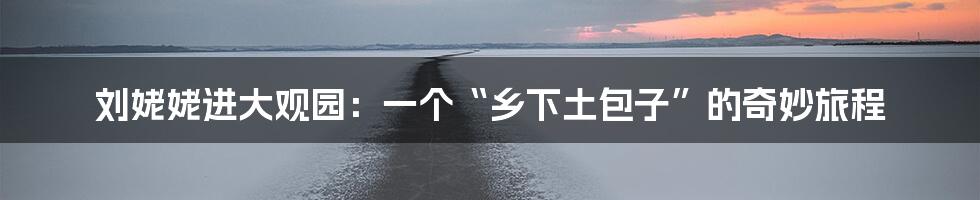 刘姥姥进大观园:一个“乡下土包子”的奇妙旅程