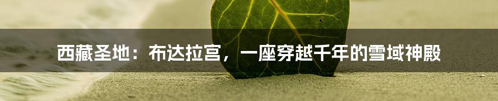 西藏圣地:布达拉宫,一座穿越千年的雪域神殿