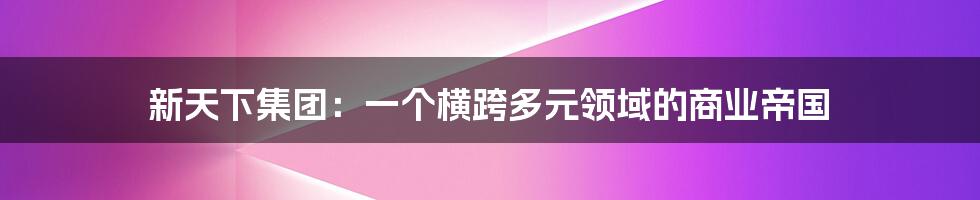 新天下集团:一个横跨多元领域的商业帝国