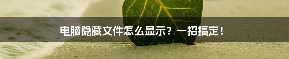 电脑隐藏文件怎么显示?一招搞定!