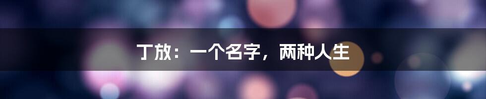丁放:一个名字,两种人生