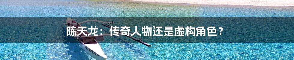 陈天龙:传奇人物还是虚构角色?