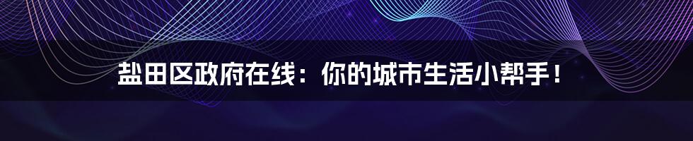 盐田区政府在线:你的城市生活小帮手!