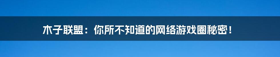 木子联盟:你所不知道的网络游戏圈秘密!