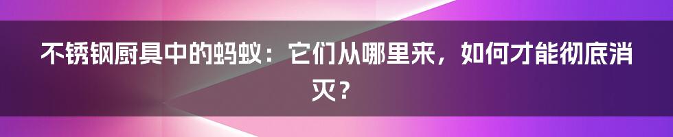 不锈钢厨具中的蚂蚁:它们从哪里来,如何才能彻底消灭?