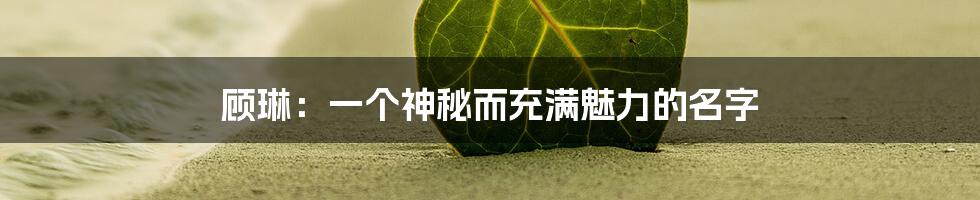 顾琳:一个神秘而充满魅力的名字