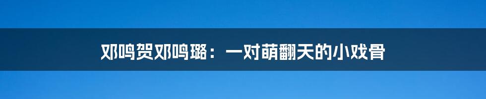 邓鸣贺邓鸣璐:一对萌翻天的小戏骨