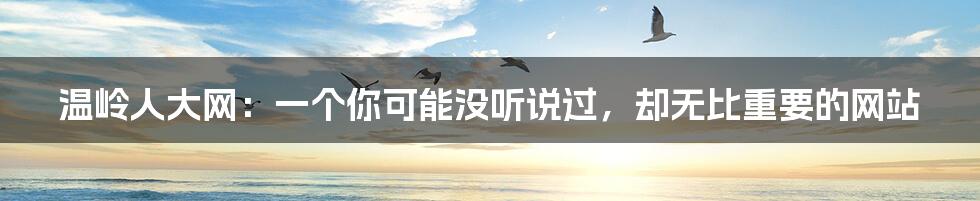 温岭人大网:一个你可能没听说过,却无比重要的网站
