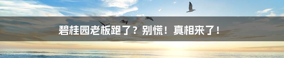 碧桂园老板跑了?别慌!真相来了!