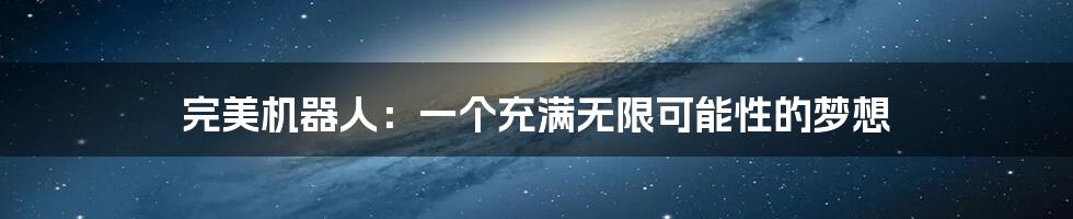 完美机器人:一个充满无限可能性的梦想