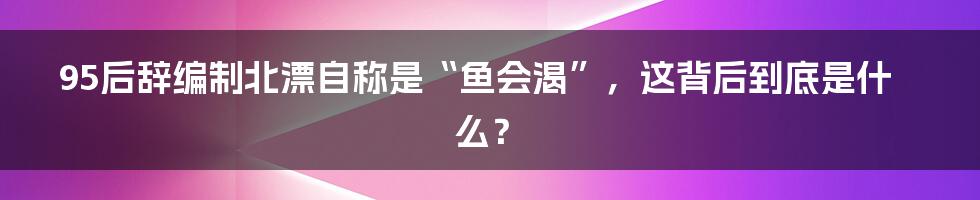 95后辞编制北漂自称是“鱼会渴”,这背后到底是什么?