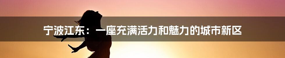 宁波江东:一座充满活力和魅力的城市新区