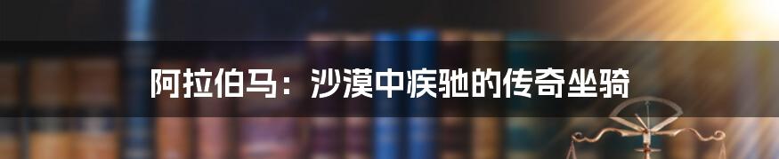 阿拉伯马:沙漠中疾驰的传奇坐骑