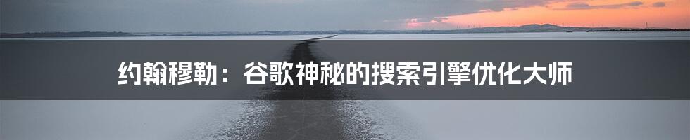 约翰穆勒:谷歌神秘的搜索引擎优化大师