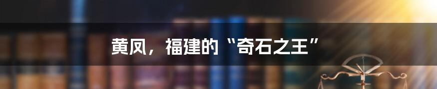 黄凤,福建的“奇石之王”