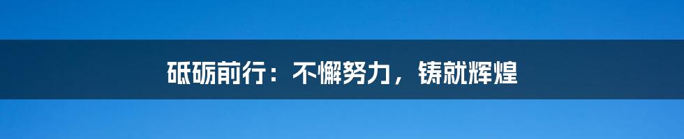 砥砺前行:不懈努力,铸就辉煌