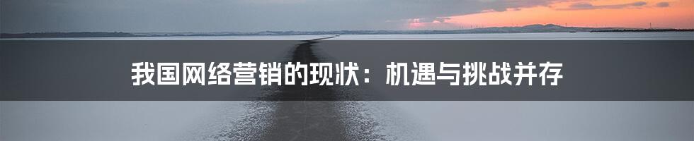 我国网络营销的现状:机遇与挑战并存
