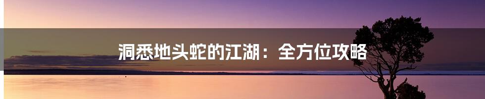 洞悉地头蛇的江湖:全方位攻略