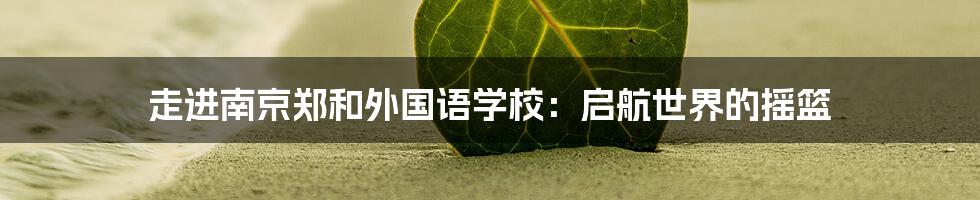 走进南京郑和外国语学校:启航世界的摇篮