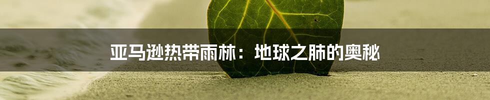 亚马逊热带雨林：地球之肺的奥秘