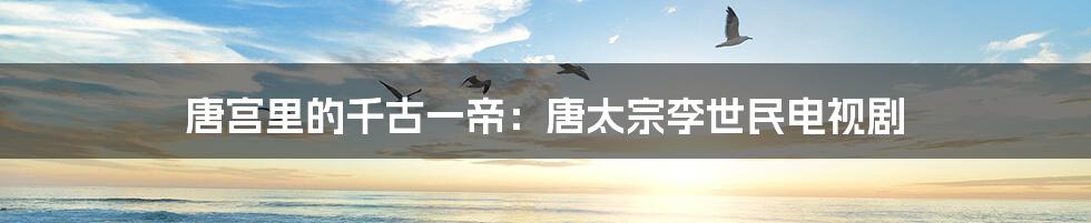 唐宫里的千古一帝:唐太宗李世民电视剧