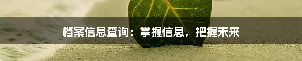 档案信息查询:掌握信息,把握未来