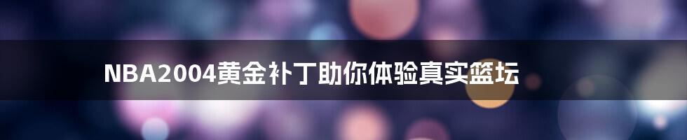 NBA2004黄金补丁助你体验真实篮坛