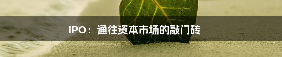 IPO:通往资本市场的敲门砖