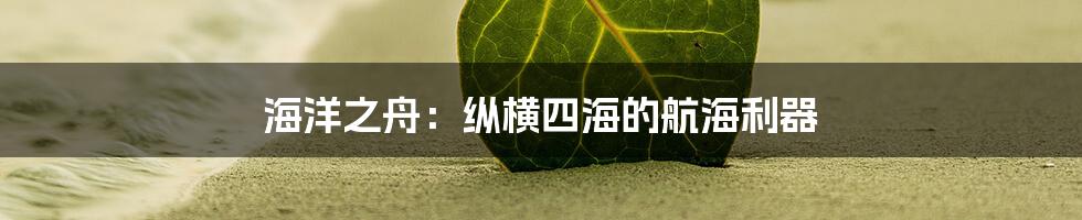 海洋之舟:纵横四海的航海利器