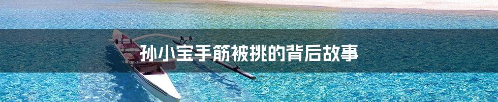 孙小宝手筋被挑的背后故事