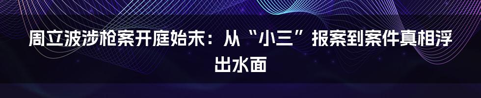 周立波涉枪案开庭始末:从“小三”报案到案件真相浮出水面